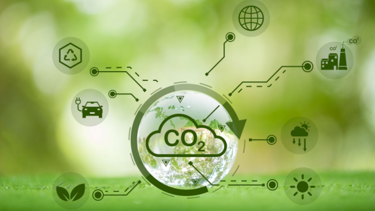 Ecossistema de crédito de carbono representando o setor no Brasil