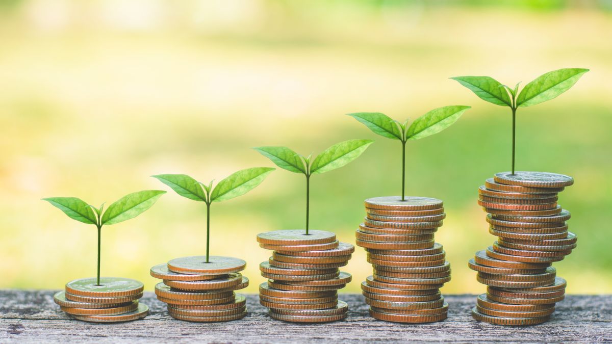 Moedas e plantas representando a emissão de títulos verdes que bateu recorde no mercado brasileiro