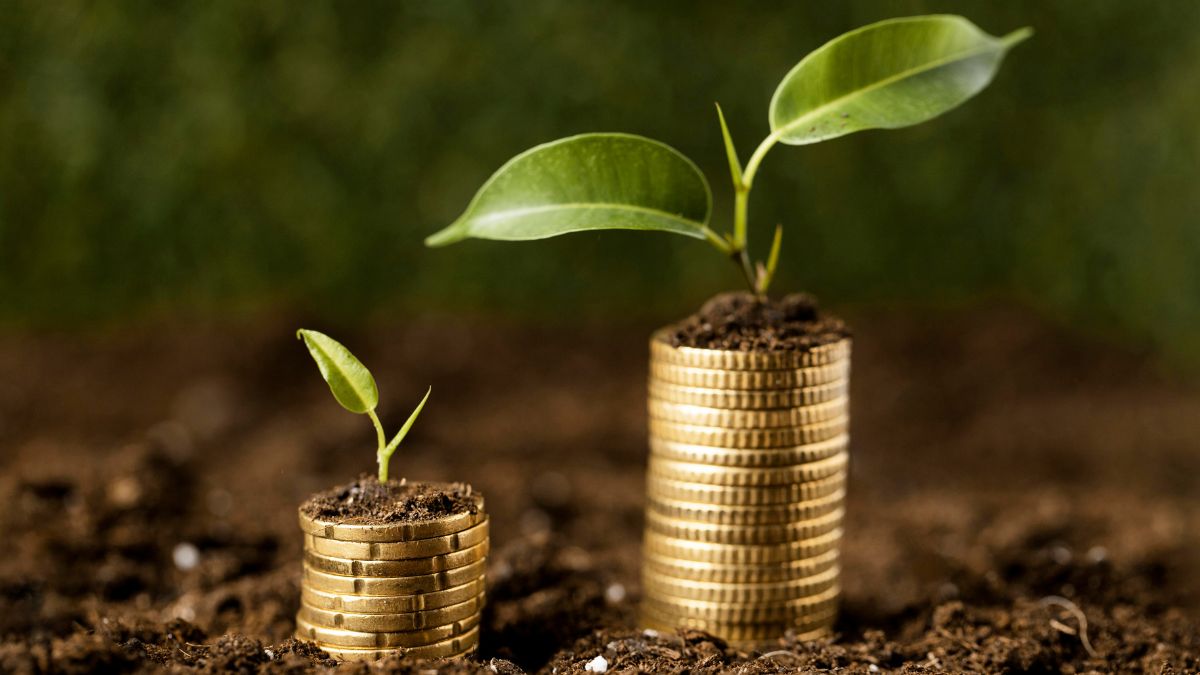 Planta brotando de uma moeda de ouro ilustrando o avanço dos investimentos verdes