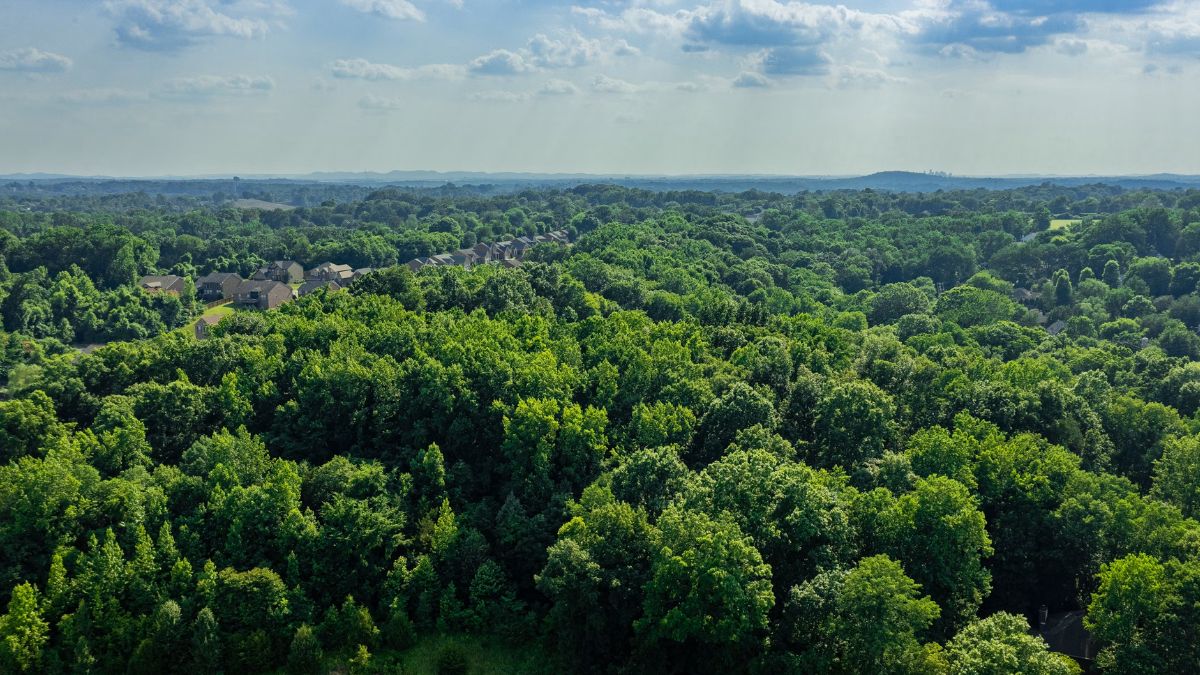Vista aérea de uma floresta nativa preservada ao lado de plantações sustentáveis, representando o mercado de créditos de carbono e a agenda ESG no Brasil