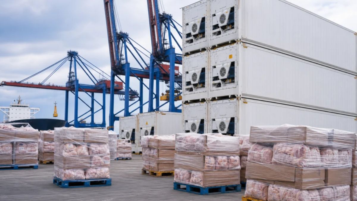 Containers de exportação de carne de frango, que voltam à UE em dezembro
