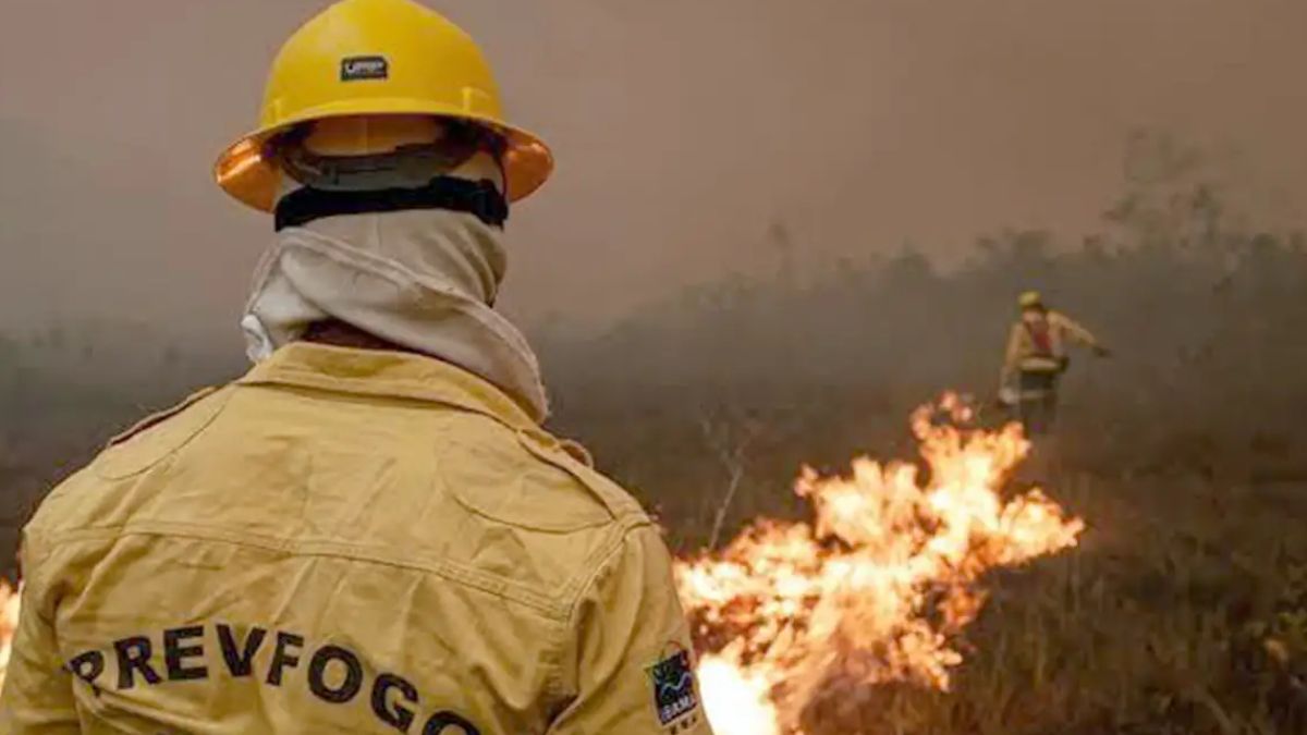 Bombeiros tentando controlar focos de incêndios florestais na Amazônia, estado para o qual o governo feredal liberou verbas para emergência de 36 municípios